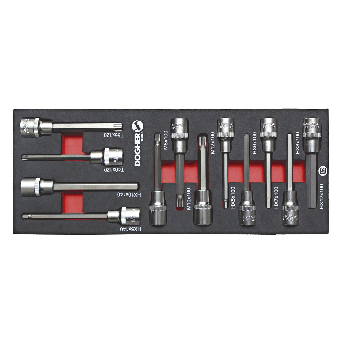 Dogher 538-080 - Bandeja Combinable 1/4 - 12 Vasos con Punta 1/2