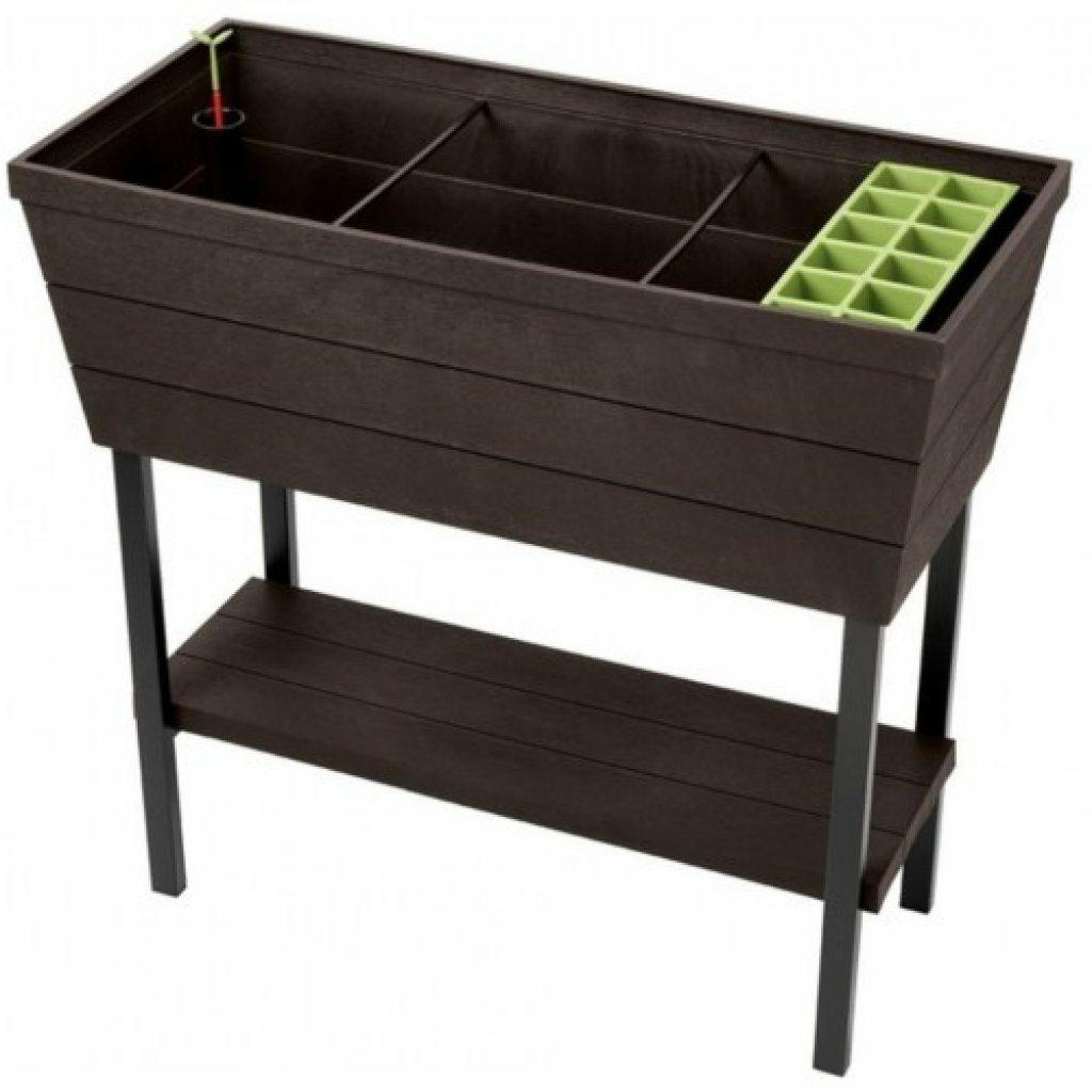 Keter - Mini huerto en casa Urban Bloomer con base para cultivo, Color marrón