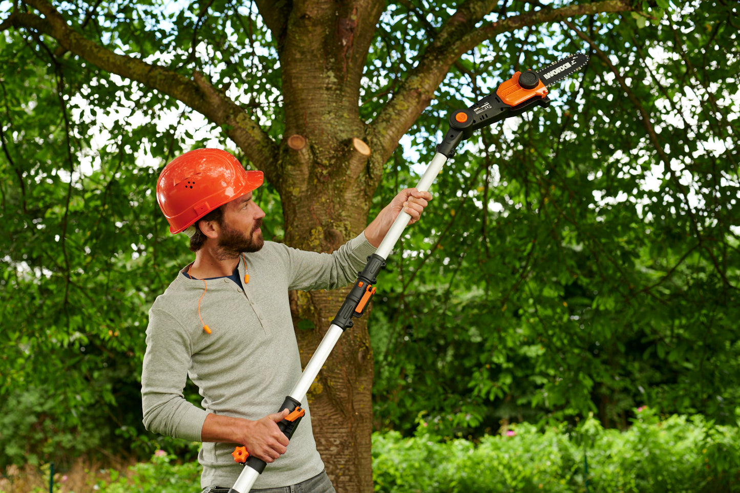 Worx WG349E.9 - Motosierra podadora de altura 20cm 20V (S/bat)