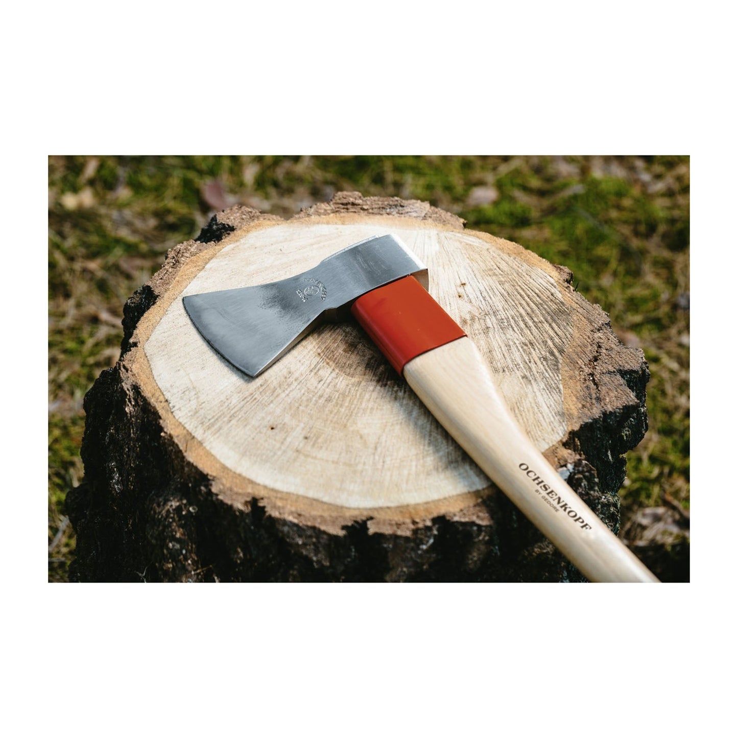 Hacha forestal GOLD universal ROTBAND - PLUS 1250 g - Ferrotecnia