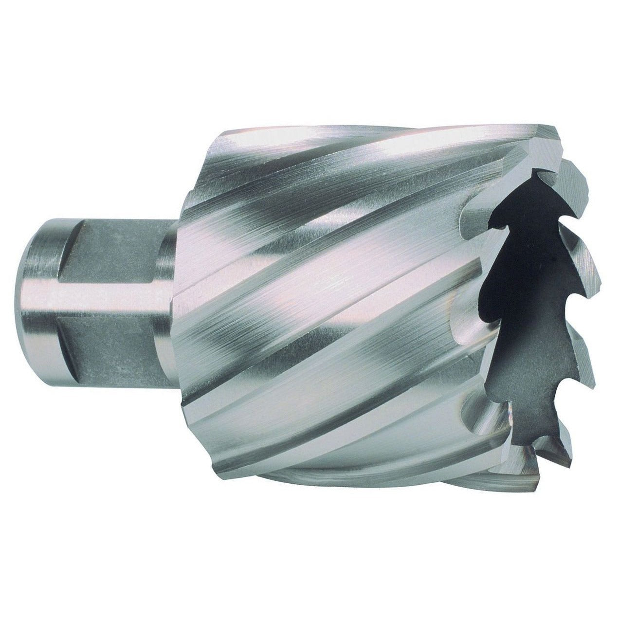 Ruko HSS-Co 5 Cobalt Hollow Drill Bit with Weldon Shank