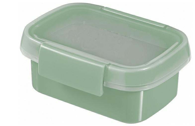 CURVER Smart to Go Eco - Cajas de merienda (0,2 L), color verde