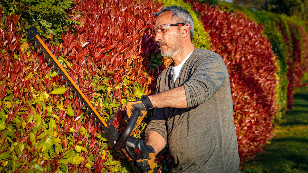 Worx WG263E - Cortasetos 56 cm BL NITRO 20V (1bat 4,0Ah)