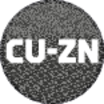 GEDORE 1100-243100 - Manual pipe bender in L-BOXX®