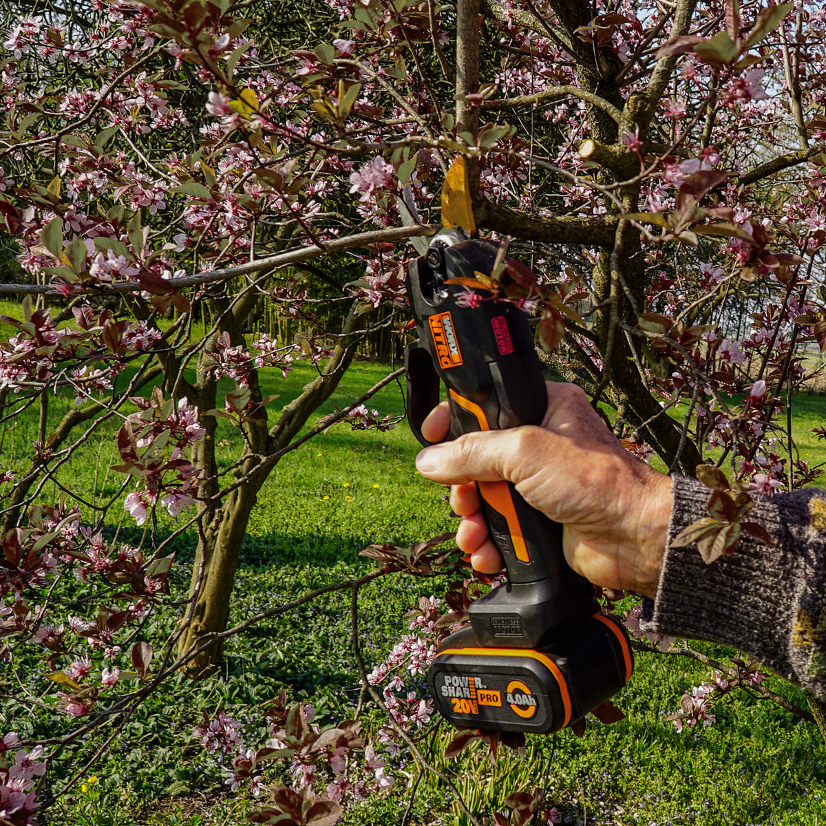 Worx WG330E.9 - Tijeras de podar 22cm BL NITRO 20V (S/bat)