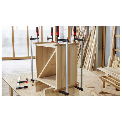 Bessey TG10 - 2K - Tornillo de apriete con mango bicomponente Bessey TG 100/50 - Ferrotecnia