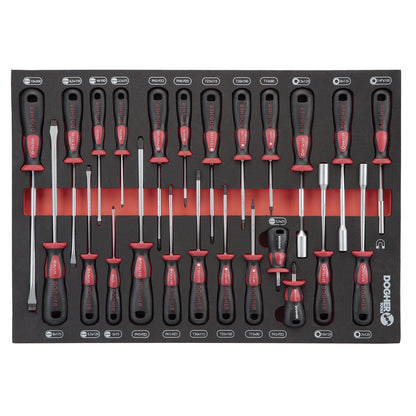 Dogher 300-084 - Ban.Espuma Dest Pl-Torx-Ph 24Pcs Entera