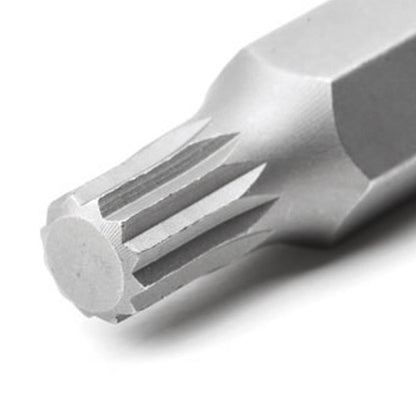 Dogher 438-006 - Estuche Puntas10Mm Xzn 11Pcs