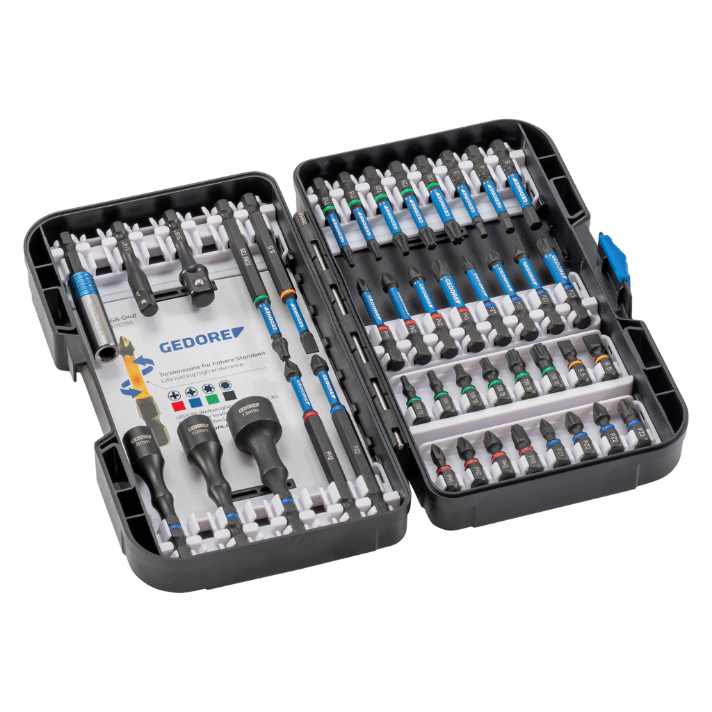 GEDORE 666 - 042 - Juego de puntas de torsión de 1/4", 42 piezas - Ferrotecnia