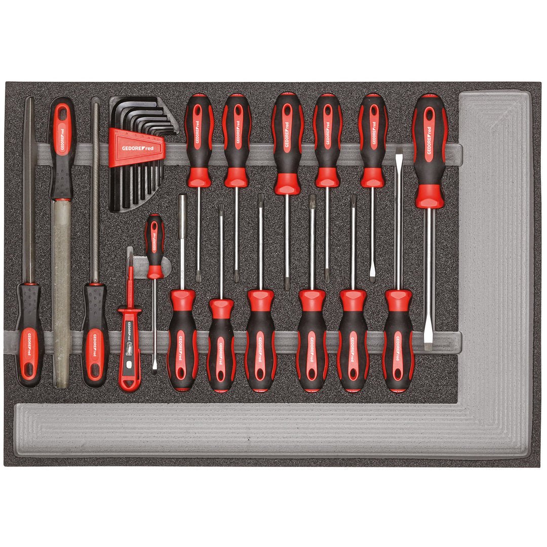 GEDORE red R22350002 - Juego de herramientas destornilladores + limas módulo CT, 25 piezas (3301683) - Ferrotecnia