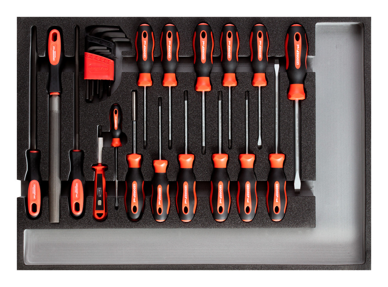 GEDORE red R22350002 - Screwdriver tool set + CT module files, 25 pieces (3301683)