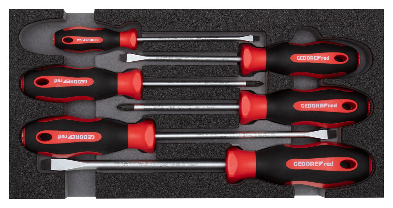 GEDORE red R22150013 - PH + SL screwdriver set, CT 2/6 module, 6 pieces (3301712)