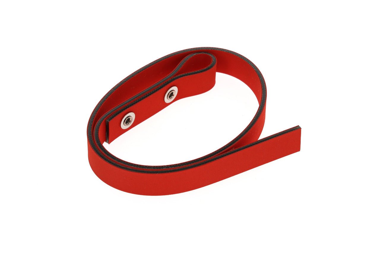 R19991019 - Cinta de recambio L=480 mm para llave de cinta - Ferrotecnia