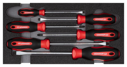 R22150014 - Juego de destornilladores PZ + SL, módulo CT 2/6, 6 piezas - Ferrotecnia