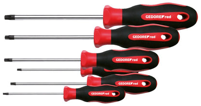 R38402006 - Juego de destornilladores de 2 componentes T10 - 40, 6 piezas - Ferrotecnia