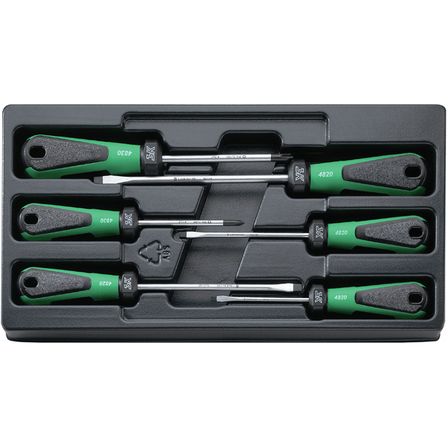 Stahlwille 96489110 - Juego de destornilladores 6 piezas