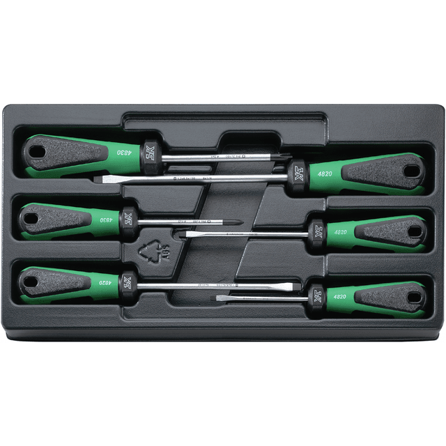 Stahlwille 96489110 - Juego de destornilladores 6 piezas - Ferrotecnia