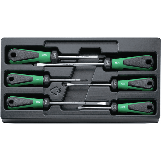 Stahlwille 96489110 - Juego de destornilladores 6 piezas - Ferrotecnia