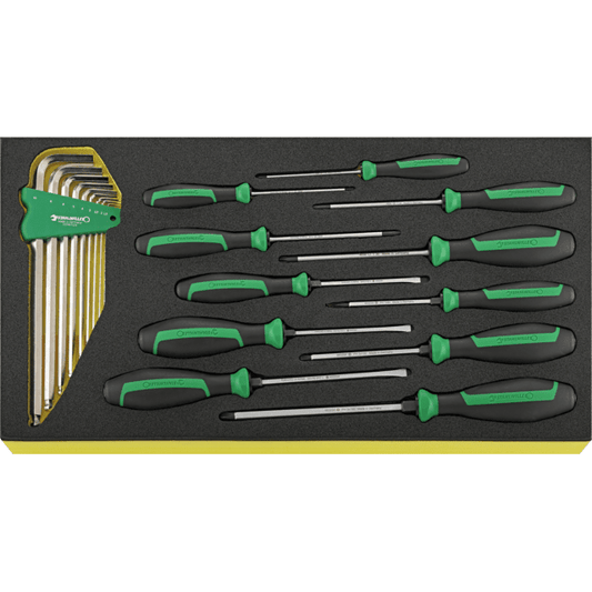 Stahlwille 96830122 - Juego de destornilladores TCS 20 piezas - Ferrotecnia