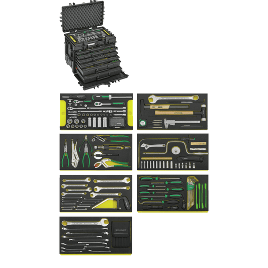 Stahlwille 98814910 - Juego de herramientas AOG 179 piezas - Ferrotecnia