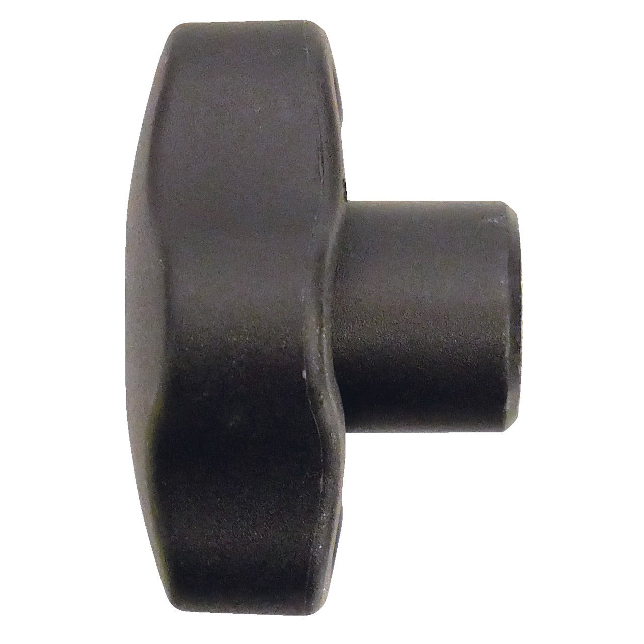 KL-0121-4003 - Mango, M10