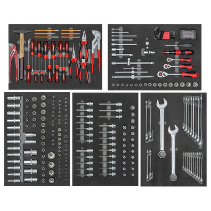R22350012 - Juego de 273 herramientas en 5 módulos de espuma Check Tool