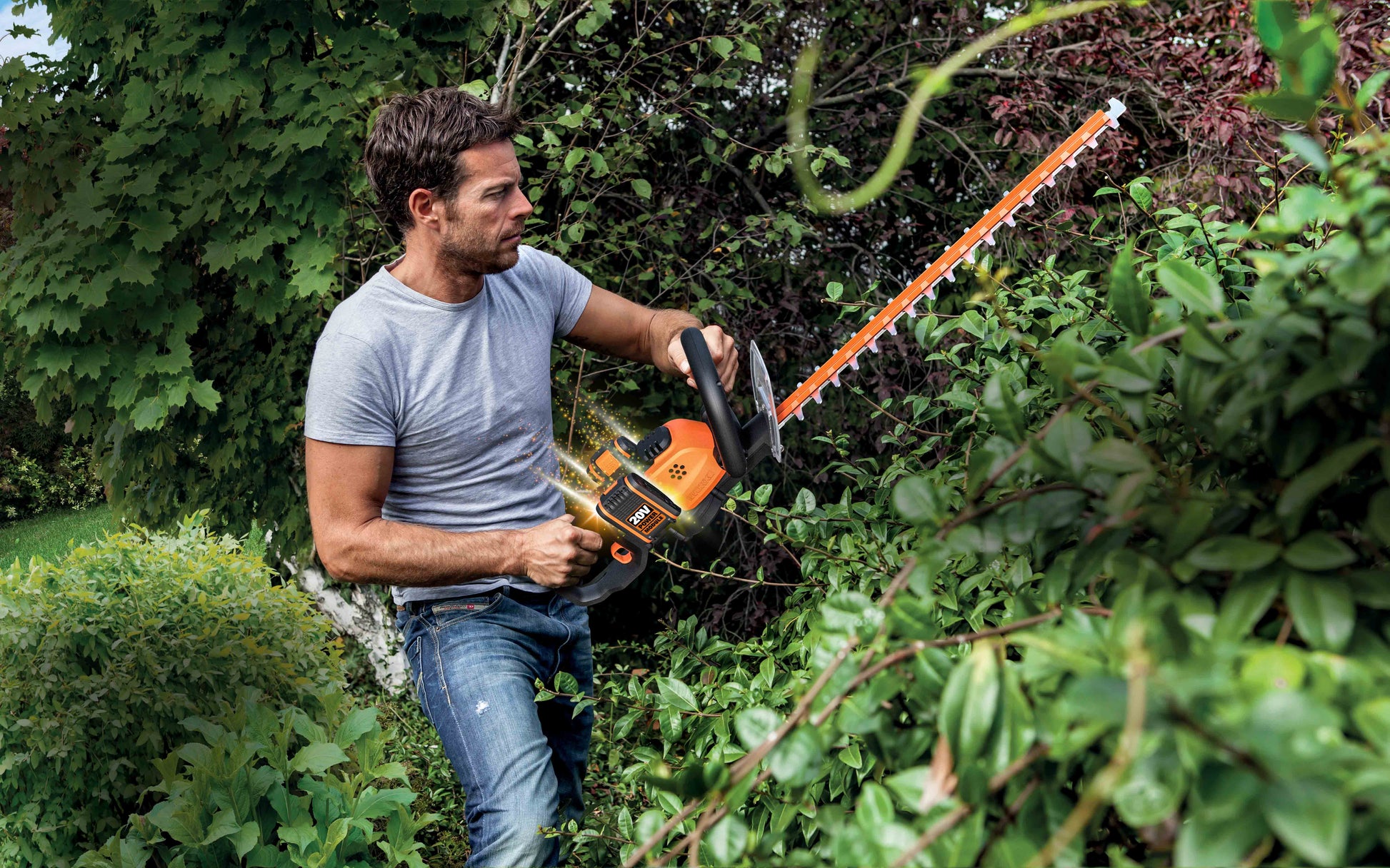 Worx WG284E.9 - Cortasetos 60 cm 40V (2*20V) (S/bat)