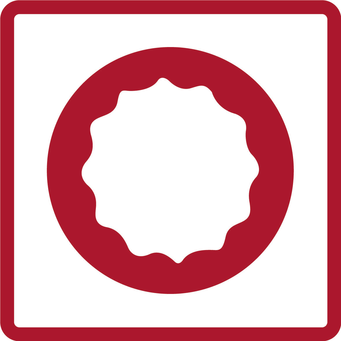 GEDORE rouge R61101814 - Douille 1/2", bi-hexagonale, 18 mm L=77 mm (3300421)