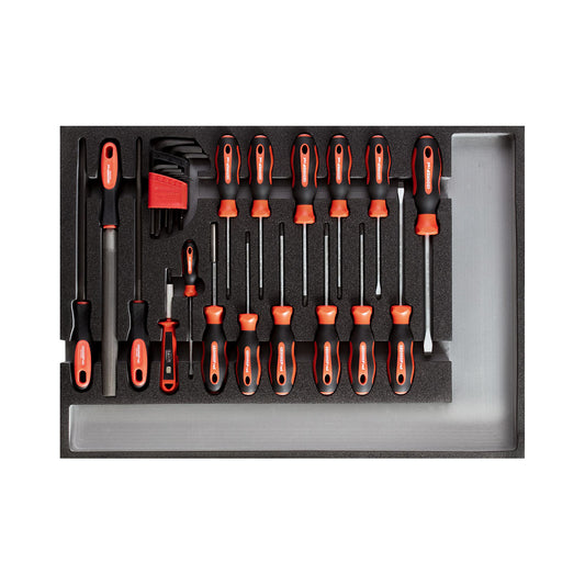 GEDORE red R22350002 - Juego de herramientas destornilladores + limas módulo CT, 25 piezas (3301683)