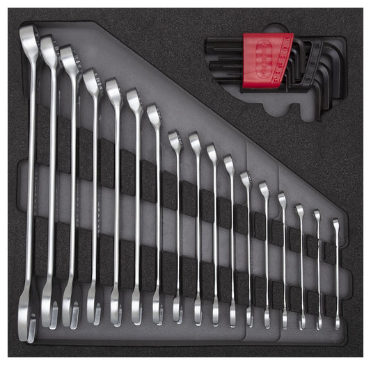GEDORE red R22250000 - Combination wrench set, CT 4/6 module, 25 pieces (3301699)